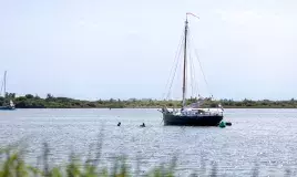 zwemmen