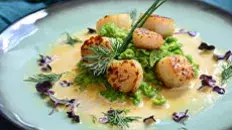 Les Coquilles Saint Jacques