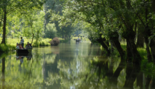 Profiter d’un tour en barque dans le Marais Poitevin