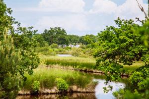 La Réserve Naturelle Nationale des Prés Salés