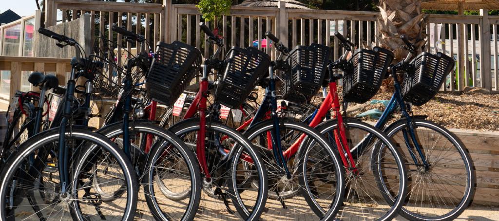 Location de vélos au camping Le Conguel