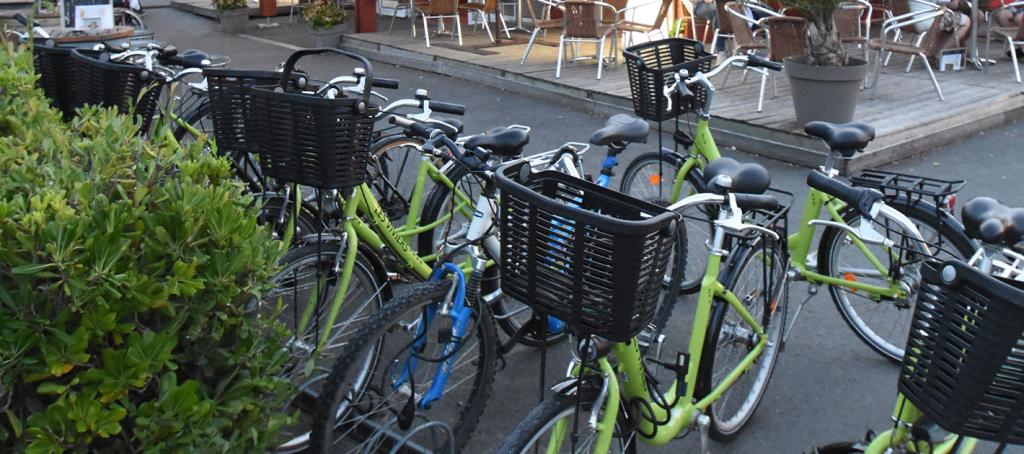 Location de vélos au camping Les Viviers