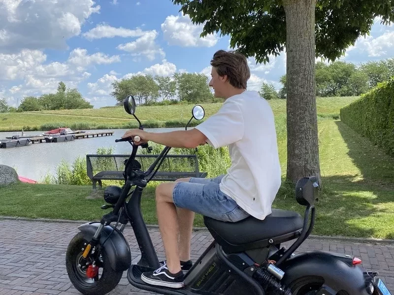 E-chopper 1