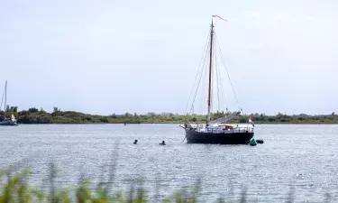 zwemmen